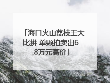 海口火山荔枝王大比拼 单颗拍卖出6.8万元高价